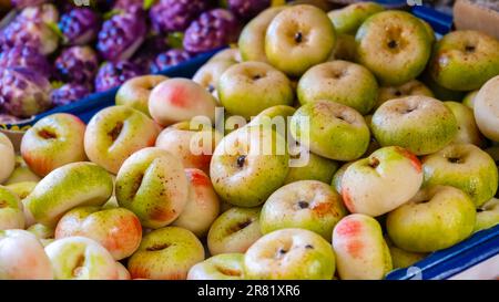 Assortimento di frutta di marzapane. Primo piano dei dolci di marzapane modellati e dipinti come una pesca piatta nel negozio di pasticceria. La Martorana è tipica siciliana Foto Stock