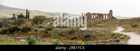 Iconiche rovine del foro di Volubilis, un'antica città romana in Marocco, Nord Africa Foto Stock