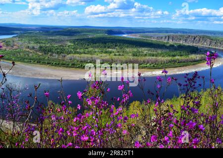 Scopri la tranquillità in questo maestoso scenario naturale con alberi, lago, montagne e un ipnotico cielo blu. Una vista accattivante della natura selvaggia incontaminata Foto Stock