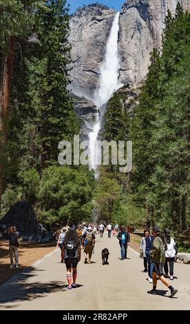 Yosemite National Park folle turistiche, cascate di Yosemite, National Parks Service, affollato, turisti, visitatori, fotografi, scattare foto. Foto Stock