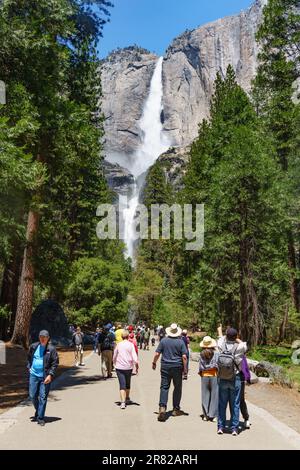 Yosemite National Park folle turistiche, cascate di Yosemite, National Parks Service, affollato, turisti, visitatori, fotografi, scattare foto. Foto Stock