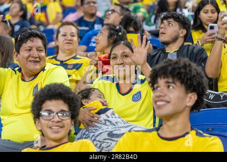 Harrison, Stati Uniti. 17th giugno, 2023. I fan della squadra dell'Ecuador festeggiano durante una partita amichevole contro la Bolivia sulla Red Bull Arena di Harrison, New Jersey, il 17 giugno 2023. L'Ecuador ha vinto 1 - 0. (Foto di Lev Radin/Sipa USA) Credit: Sipa USA/Alamy Live News Foto Stock