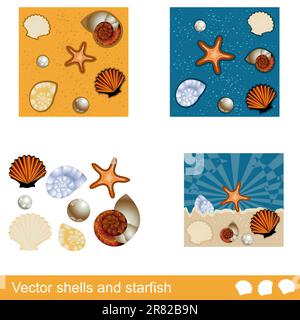 Conchiglie e stelle marine diverse. Immagine di illustrazione EPS vettoriale. Illustrazione Vettoriale