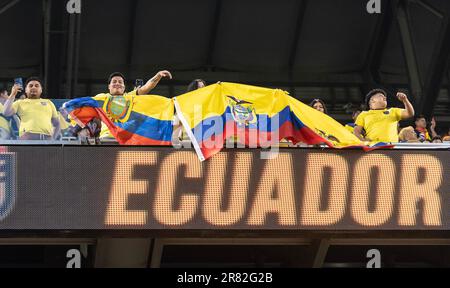 Harrison, New Jersey, Stati Uniti. 17th giugno, 2023. I fan della squadra dell'Ecuador festeggiano durante una partita amichevole contro la Bolivia sulla Red Bull Arena. L'Ecuador ha vinto 1 - 0. (Credit Image: © Lev Radin/Pacific Press via ZUMA Press Wire) SOLO PER USO EDITORIALE! Non per USO commerciale! Foto Stock