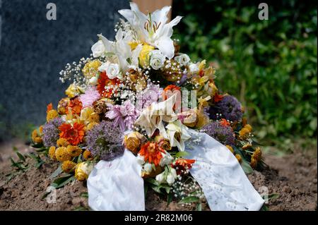 coloratissima disposizione floreale con arco bianco su una tomba appena riempita dopo un funerale Foto Stock