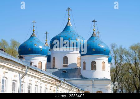 Cupole di un'antica cattedrale in onore dell'esaltazione della Santa Croce. St Monastero di Yuriev, Veliky Novgorod Foto Stock