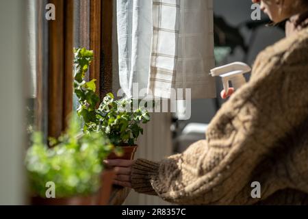 Millennial ragazza che tiene la bottiglia di spruzzo che si prende cura delle piante di casa Foto Stock