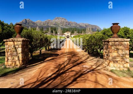 Ingresso al Waterford Estate nella Blaauwklippen Valley sulle pendici del Monte Helderberg - Stellenbosch, Winelands vicino a Città del Capo, Sud Afri Foto Stock