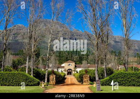 Ingresso al Waterford Estate nella Blaauwklippen Valley sulle pendici del Monte Helderberg - Stellenbosch, Winelands vicino a Città del Capo, Sud Afri Foto Stock