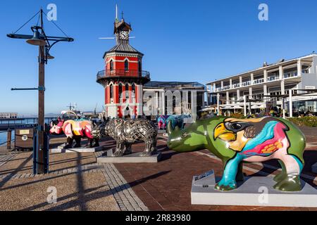 I Rhinos stanno arrivando! Mostra presso il quartiere della Torre dell'Orologio nel lungomare di V&A - Città del Capo, Sud Africa Foto Stock