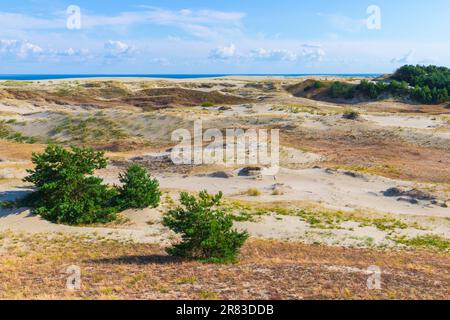 Curonian Spit paesaggio estivo, dune sabbiose costiere in una giornata di sole, Kaliningrad Oblast, Russia Foto Stock