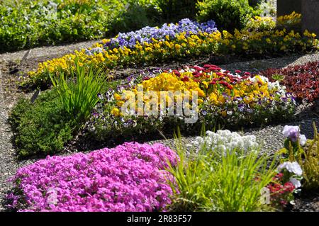 Cimitero, tombe in primavera, fiori vari Foto Stock