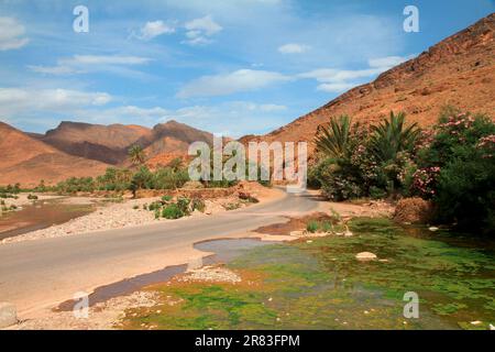 Acqua-cuscinetto Oued nell'Anti-Atlante Marocco Foto Stock