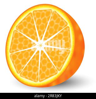 Un'illustrazione di una metà fresca di arancio Illustrazione Vettoriale