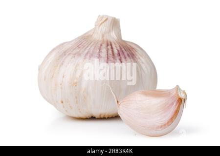 Garlics (Allium sativum) su sfondo bianco Foto Stock