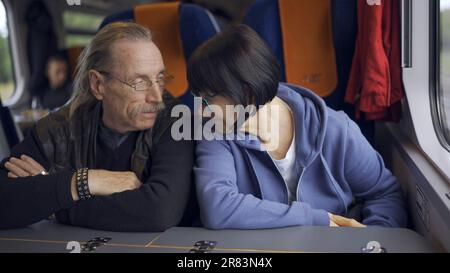 La coppia anziana sta guidando in una carrozza del treno e sta comunicando l'una con l'altra Foto Stock