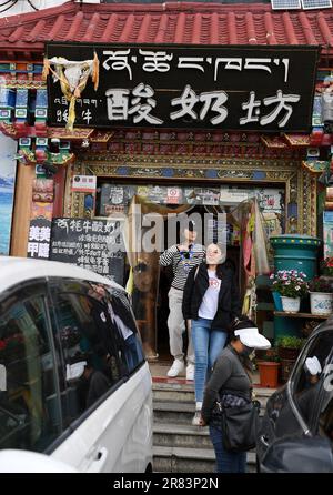 (230619) -- LHASA, 19 giugno 2023 (Xinhua) -- Un deposito di yogurt è visto vicino al Palazzo di Potala in Lhasa, capitale della regione autonoma del Tibet del sud-ovest della Cina, 16 giugno 2023. Dal 7th ° secolo, la città di Lhasa gradualmente emerse nel cuore dell'altopiano, immerso nella valle del fiume Lhasa - un affluente del fiume Yarlung Tsangpo. La ricca storia della città si estende per secoli, caratterizzata da strati di patrimonio culturale, promuovendo così una cultura plateau distintiva che abbraccia la diversità e l'inclusione. Questa notevole cultura altopiano esemplifica la vivacità duratura di Foto Stock