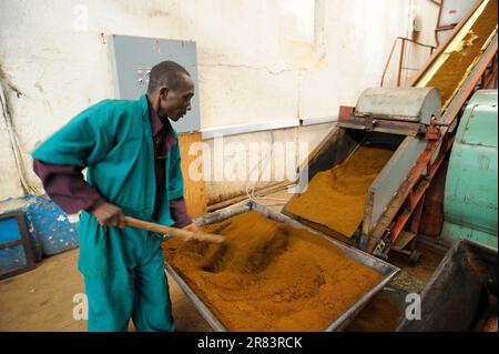 Lavoratori in fabbrica di tè, Nyungwe, Ruanda Foto Stock