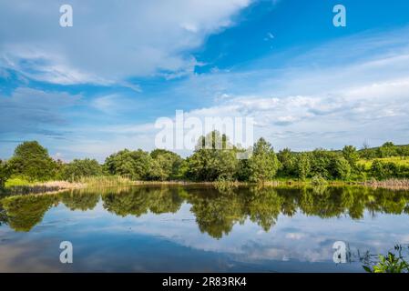 Vista panoramica degli alberi che si riflettono sull'acqua del lago in campagna in Europa contro il suggestivo cielo estivo Foto Stock