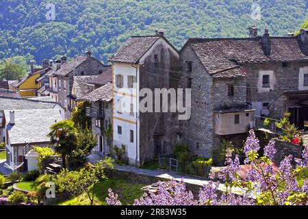 Case, Pedemonte, Val d'Onsernone, Canton Ticino, Svizzera Foto Stock
