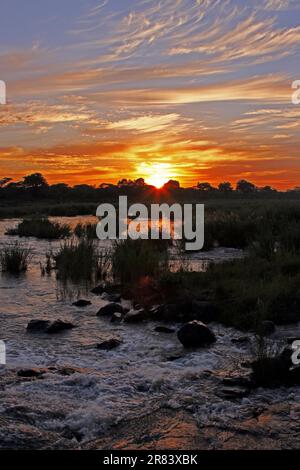 Alba nel Parco Nazionale di Kruger, S Foto Stock