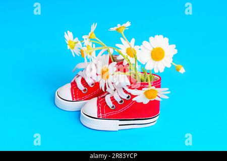 Adorabili mini scarpe rosse in tela piene di un affascinante bouquet di margherite, adagiato su uno sfondo blu vibrante. Moda creativa e calzature correlate Foto Stock