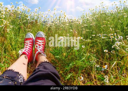 Crogiolandosi nel calore dei dolci raggi del sole, un paio di piedi adornati da sneaker in tela rossa riposano in un pittoresco campo di margherite, con un pictu Foto Stock