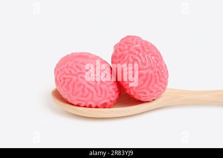Vista ravvicinata di due modelli dettagliati del cervello umano posizionati su un grande cucchiaio di legno isolato su sfondo bianco. Conoscenza metaforica e apprendimento conc Foto Stock