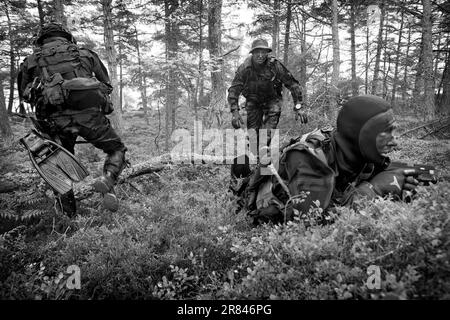 Unità antiterrorismo svedese, Svenska Insatsstyrkan, UE, Stoccolma Foto Stock