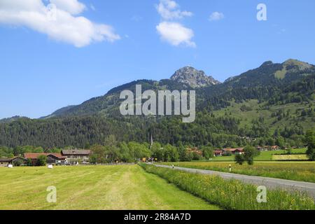 Vista a Bayrischzell con il Monte Wendelstein sullo sfondo in Mangfall Mountains, Baviera - Germania Foto Stock