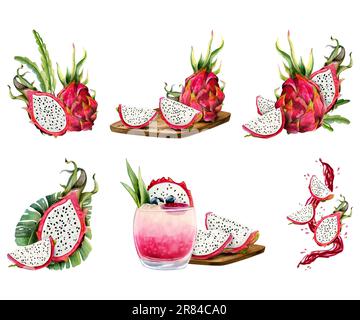 Rosa rosso pitaya drago frutti acquerello insieme con pitaya intera, composizioni a fette. Disegno botanico Foto Stock