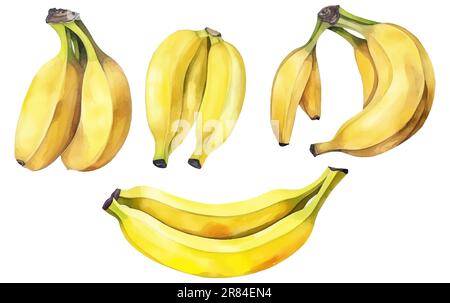 impostare l'illustrazione vettoriale dell'acquerello delle banane mature isolate su sfondo bianco Illustrazione Vettoriale