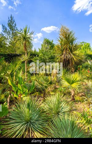 Giardino ornamentale mostra al Domaine de Chaumont-sur-Loire, Loir-et-Cher (41), Francia. Foto Stock