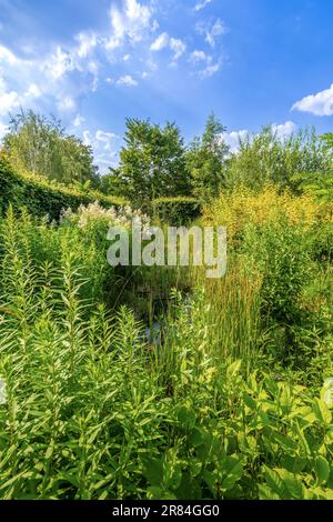 Giardino ornamentale mostra al Domaine de Chaumont-sur-Loire, Loir-et-Cher (41), Francia. Foto Stock