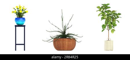 Fiori decorativi e piante per l'interno, isolati su sfondo bianco, illustrazione 3D, rendering cg Foto Stock