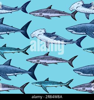 Modello senza cuciture con vari squali, grande squalo bianco, squalo martello e altro. Illustrazione vettoriale in stile vintage. Illustrazione Vettoriale