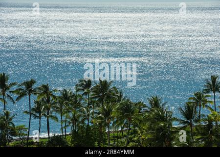 Una vista panoramica delle palme sulla spiaggia contro un mare blu Foto Stock