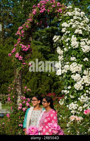 Elizabeth Park   Hartford, Connecticut, Stati Uniti d'America Foto Stock