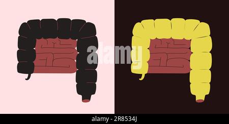 Piatto stile semplice minima illustrazione di intestino crasso e piccolo umano su uno sfondo chiaro e scuro Illustrazione Vettoriale
