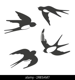 Set di silhouette di rondini volanti. Illustrazione vettoriale. Illustrazione Vettoriale