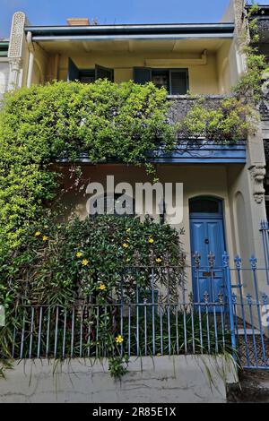 692 casa con terrazza in stile filigrano vittoriano con porta blu e veranda in ghisa su Ormond Street, Paddington. Sydney-Australia. Foto Stock