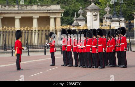 Grenadier Guards rivestimento del Mall Trooping il colore 2023 Foto Stock