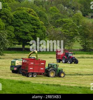 Krone Big X 580 lavoro forager, essendo guidato su terreni agricoli pascolo (carico di riempimento rimorchio, erba da taglio campo, agricoltori di guida) - Yorkshire, Inghilterra UK. Foto Stock