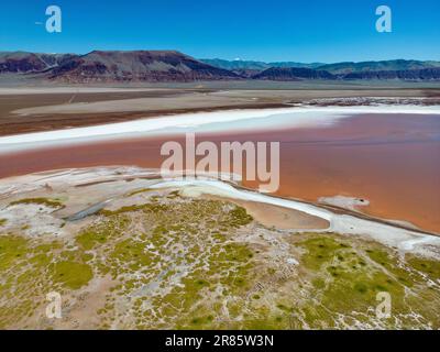 Argentina: Puna - vista aerea della colorata Laguna Carachi Pampa, un paesaggio surreale e bellissimo circondato da rocce vulcaniche e dune di sabbia Foto Stock