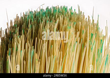 Primo piano macro fotografia di un pennello con il verde sulle setole Foto Stock