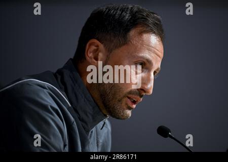 Tallinn, Estonia. 19th giugno, 2023. Il capo allenatore belga Domenico Tedesco ha illustrato nel corso di una conferenza stampa della nazionale belga di calcio Red Devils, lunedì 19 giugno 2023, a Tallinn, Estonia, in preparazione della partita contro l'Estonia. FOTO DI BELGA DIRK WAEM Credit: Agenzia Notizie di Belga/Alamy Live News Foto Stock