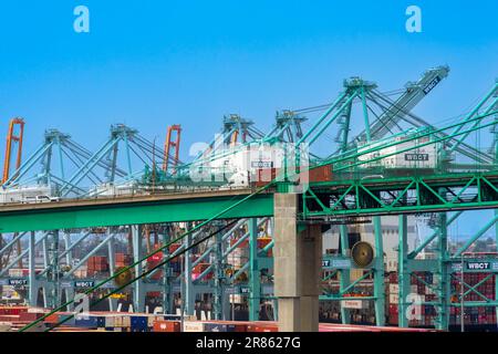 San Pedro, CA, USA – 2 giugno 2023: Vista ravvicinata del Vincent Thomas Bridge, state Route 47, nel Post di Los Angeles a San Pedro, California. Foto Stock