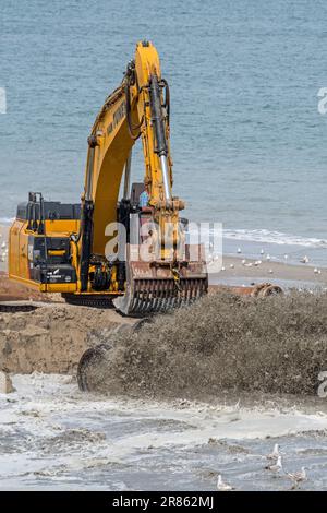 Escavatore idraulico cingolato utilizzato per il rifornimento di sabbia/nutrimento delle spiagge per ridurre i danni causati dalle tempeste lungo la costa olandese a Zeeland, Paesi Bassi Foto Stock