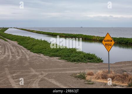 Il lago Tulare, situato nella Central Valley della California, è stato per decenni un lago asciutto, ma è tornato alla vita dopo le piogge più gravi durante l'inverno di Foto Stock