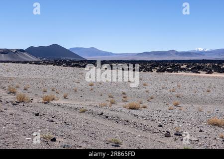 Lungo il tragitto verso Antofagasta de la Sierra, scoprendo gli altopiani argentini chiamati Puna in Sud America Foto Stock